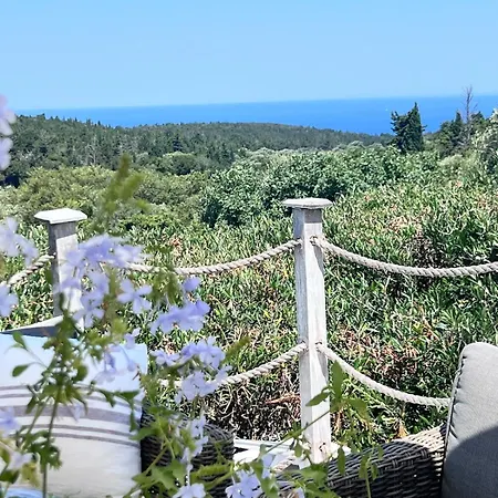 Fig Cottage, A Pretty 200 Year-old Stone Retreat Antipata (Sami)